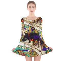 Skull 6 Long Sleeve Velvet Skater Dress by bestdesignintheworld