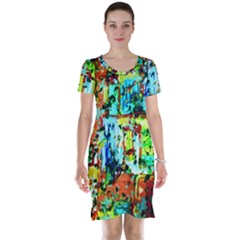 Birds   Caged And Free Short Sleeve Nightdress by bestdesignintheworld