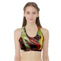 Enigma 1 Sports Bra with Border View1