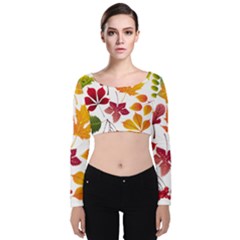 Beautiful Autumn Leaves Vector Velvet Crop Top by Nexatart