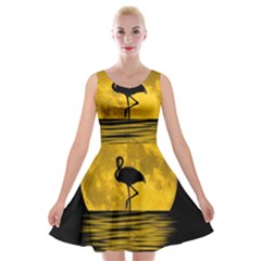 Moon Reflection Flamenco Animal Velvet Skater Dress by Simbadda