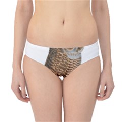 Bird Owl Animal Vintage Isolated Hipster Bikini Bottoms by Sapixe