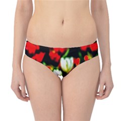 White And Red Sunlit Tulips Hipster Bikini Bottoms by FunnyCow