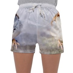 Do Not Mess With Sparrows Sleepwear Shorts by FunnyCow