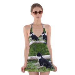 Farm Cat Halter Dress Swimsuit  by IIPhotographyAndDesigns
