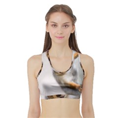 Curious Squirrel Sports Bra With Border by FunnyCow