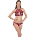 Red Raspberries Cross Front Halter Bikini Set View1