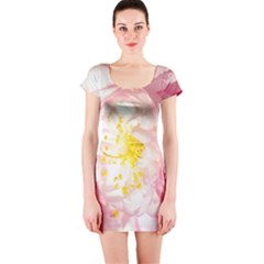 Pink Flowering Almond Flowers Short Sleeve Bodycon Dress by FunnyCow