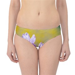 Sakura Flowers On Yellow Hipster Bikini Bottoms by FunnyCow