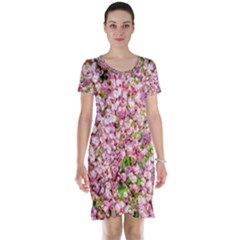 Almond Tree In Bloom Short Sleeve Nightdress by FunnyCow