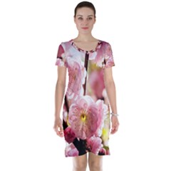 Blooming Almond At Sunset Short Sleeve Nightdress by FunnyCow