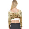 Cat 1827211 1920 Long Sleeve Crop Top View2