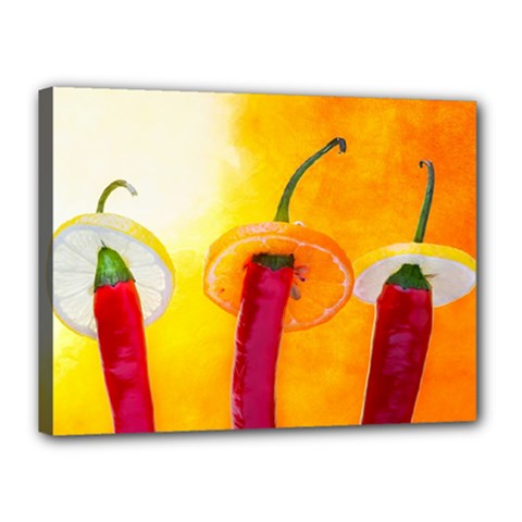 Three Red Chili Peppers Canvas 16  X 12  (stretched) by FunnyCow