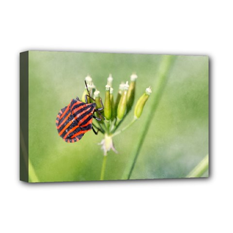 One More Bottle Does Not Hurt Deluxe Canvas 18  X 12  (stretched) by FunnyCow