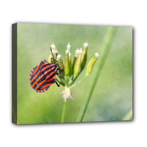 One More Bottle Does Not Hurt Deluxe Canvas 20  X 16  (stretched) by FunnyCow