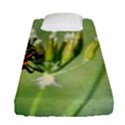 One More Bottle Does Not Hurt Fitted Sheet (Single Size) View1