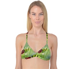 One More Bottle Does Not Hurt Reversible Tri Bikini Top by FunnyCow