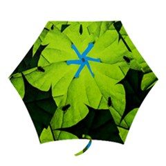 Window Of Opportunity Mini Folding Umbrellas by FunnyCow