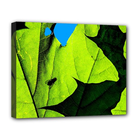 Window Of Opportunity Deluxe Canvas 20  X 16  (stretched) by FunnyCow