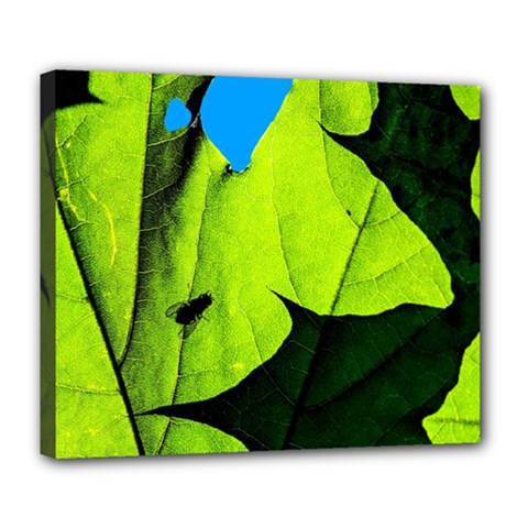 Window Of Opportunity Deluxe Canvas 24  X 20  (stretched) by FunnyCow