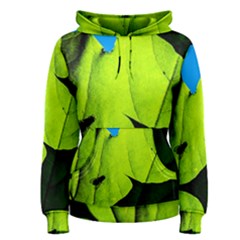 Window Of Opportunity Women s Pullover Hoodie by FunnyCow