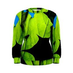 Window Of Opportunity Women s Sweatshirt by FunnyCow