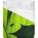 Window Of Opportunity Duvet Cover (California King Size) View1