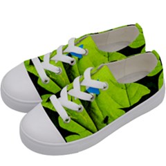 Window Of Opportunity Kids  Low Top Canvas Sneakers by FunnyCow