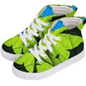 Window Of Opportunity Kid s Hi-Top Skate Sneakers View2