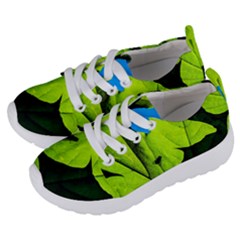 Window Of Opportunity Kids  Lightweight Sports Shoes by FunnyCow