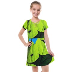 Window Of Opportunity Kids  Cross Web Dress by FunnyCow