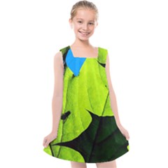 Window Of Opportunity Kids  Cross Back Dress by FunnyCow