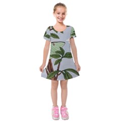 Lunar Moths Kids  Short Sleeve Velvet Dress by lwdstudio