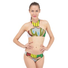 Theconnect High Neck Bikini Set by RWTFSWIMWEAR