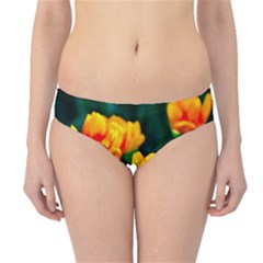 Yellow Orange Tulip Flowers Hipster Bikini Bottoms by FunnyCow