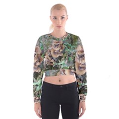 Abstract Of Mushroom Cropped Sweatshirt by canvasngiftshop