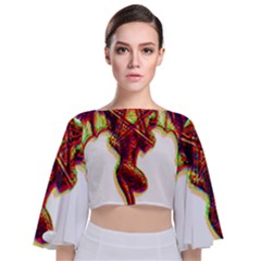 Demon Tie Back Butterfly Sleeve Chiffon Top by ShamanSociety