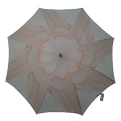 Veil Hook Handle Umbrellas (small) by WILLBIRDWELL