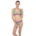 Roses Are Sorbet Pattern Classic Banded Bikini Set  View1