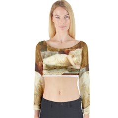 Vintage 1501595 1920 Long Sleeve Crop Top by vintage2030