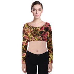 Plant Leaves Foliage Pattern Velvet Long Sleeve Crop Top by Celenk