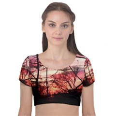 October Sunset Velvet Short Sleeve Crop Top  by bloomingvinedesign