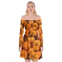 Pumpkins Tiny Gourds Pile Off Shoulder Skater Dress View1