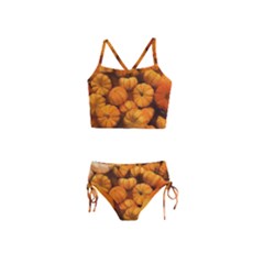 Pumpkins Tiny Gourds Pile Girls  Tankini Swimsuit by bloomingvinedesign