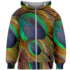 Bird Feather Background Nature Kids Zipper Hoodie Without Drawstring by Sapixe