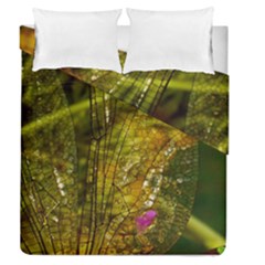 Dragonfly Dragonfly Wing Close Up Duvet Cover Double Side (queen Size) by Sapixe