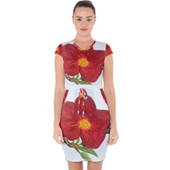Deep Plumb Blossom Capsleeve Drawstring Dress  by lwdstudio