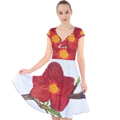 Deep Plumb Blossom Cap Sleeve Front Wrap Midi Dress by lwdstudio