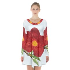 Deep Plumb Blossom Long Sleeve Velvet V-neck Dress by lwdstudio