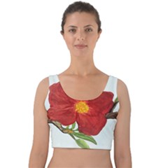 Deep Plumb Blossom Velvet Crop Top by lwdstudio